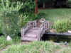 7-29-01 Backyard.jpg (96293 bytes)